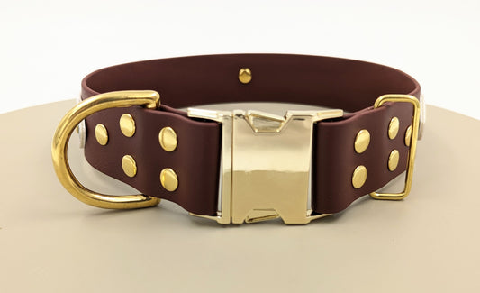 BioThane collar with quick release buckle 38 mm - Design your own