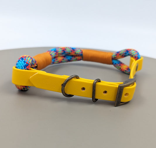 Double rope ID collar with biothane extender - Design your own with buckle