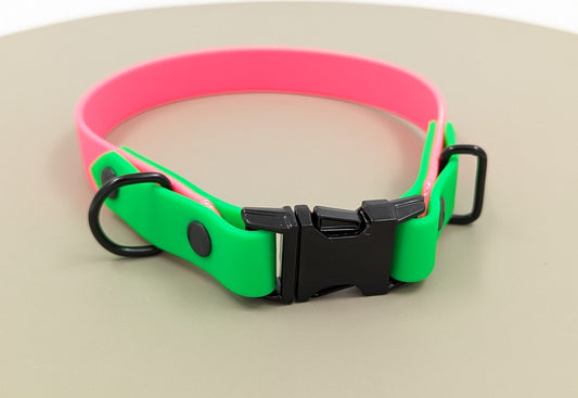 Biothane two tone collar with quick release buckle