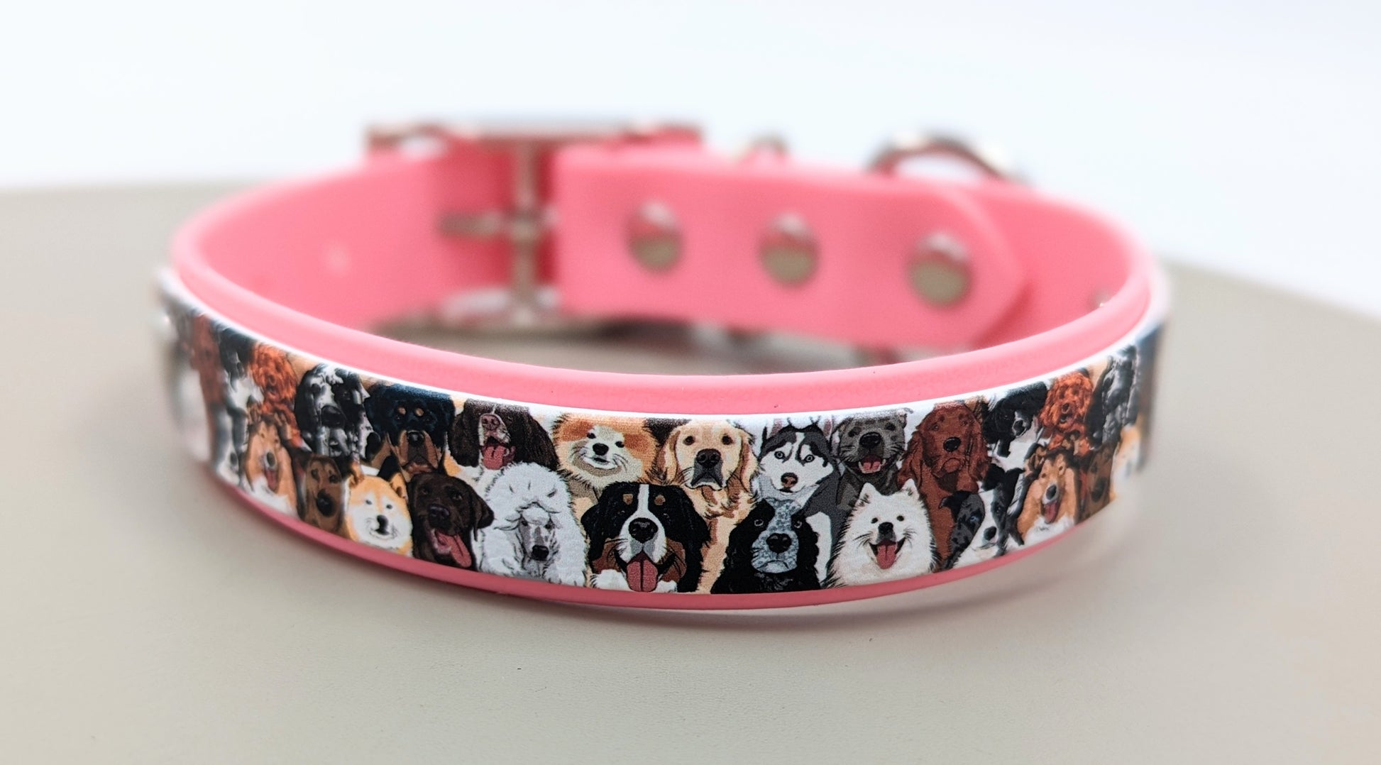 Biothane dog collar made in Ireland 