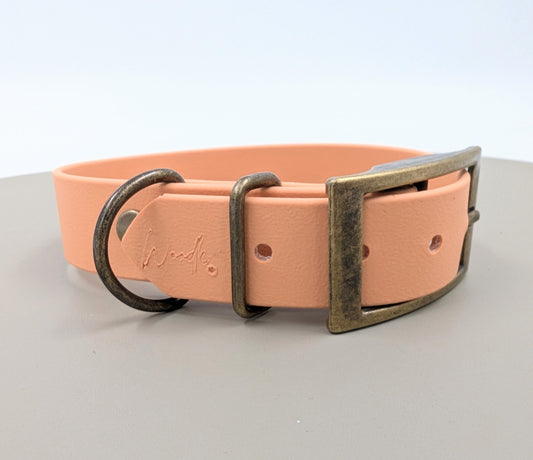 Biothane dog collar made in Ireland 