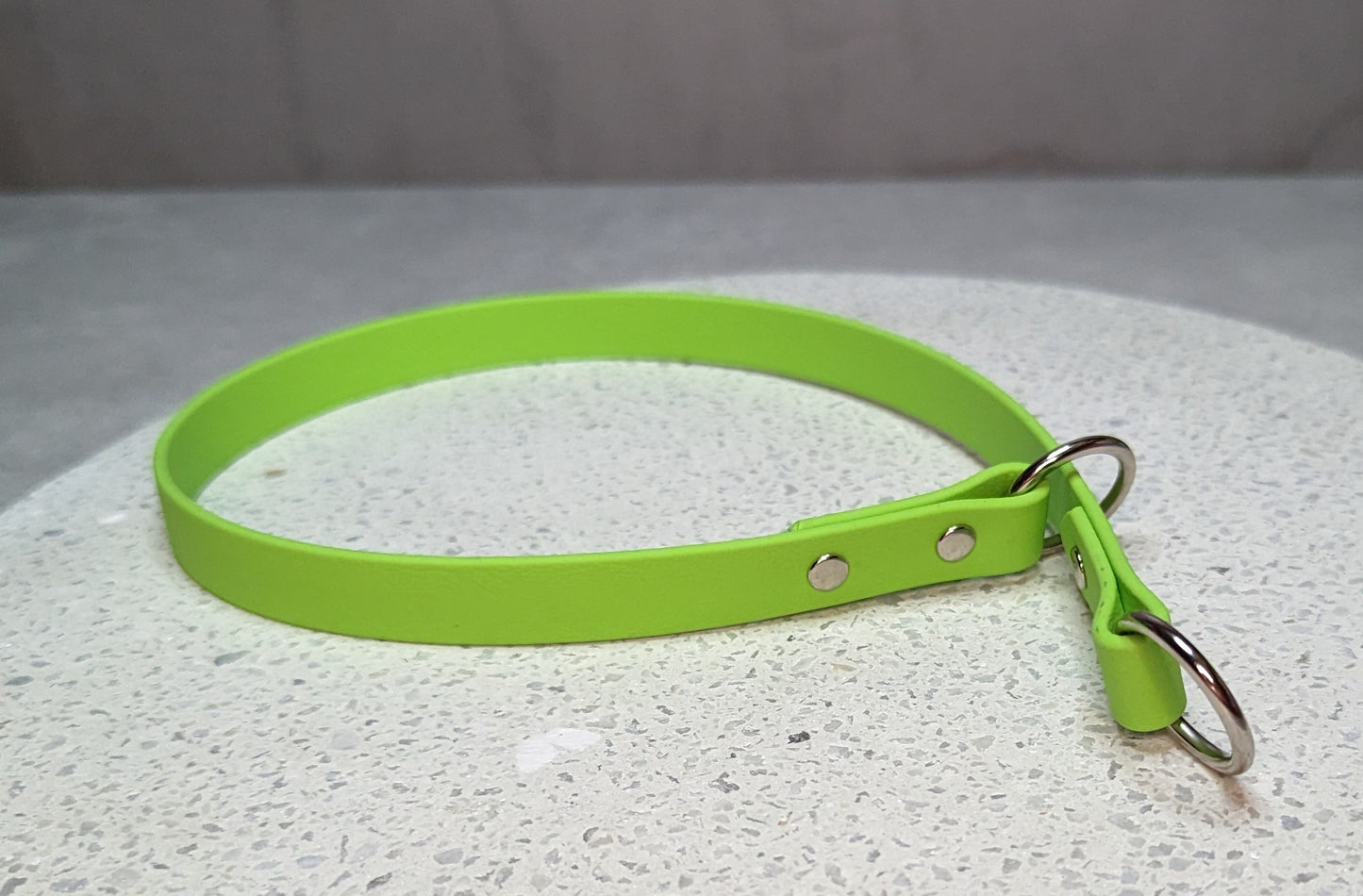 Biothane dog collar made in Ireland 