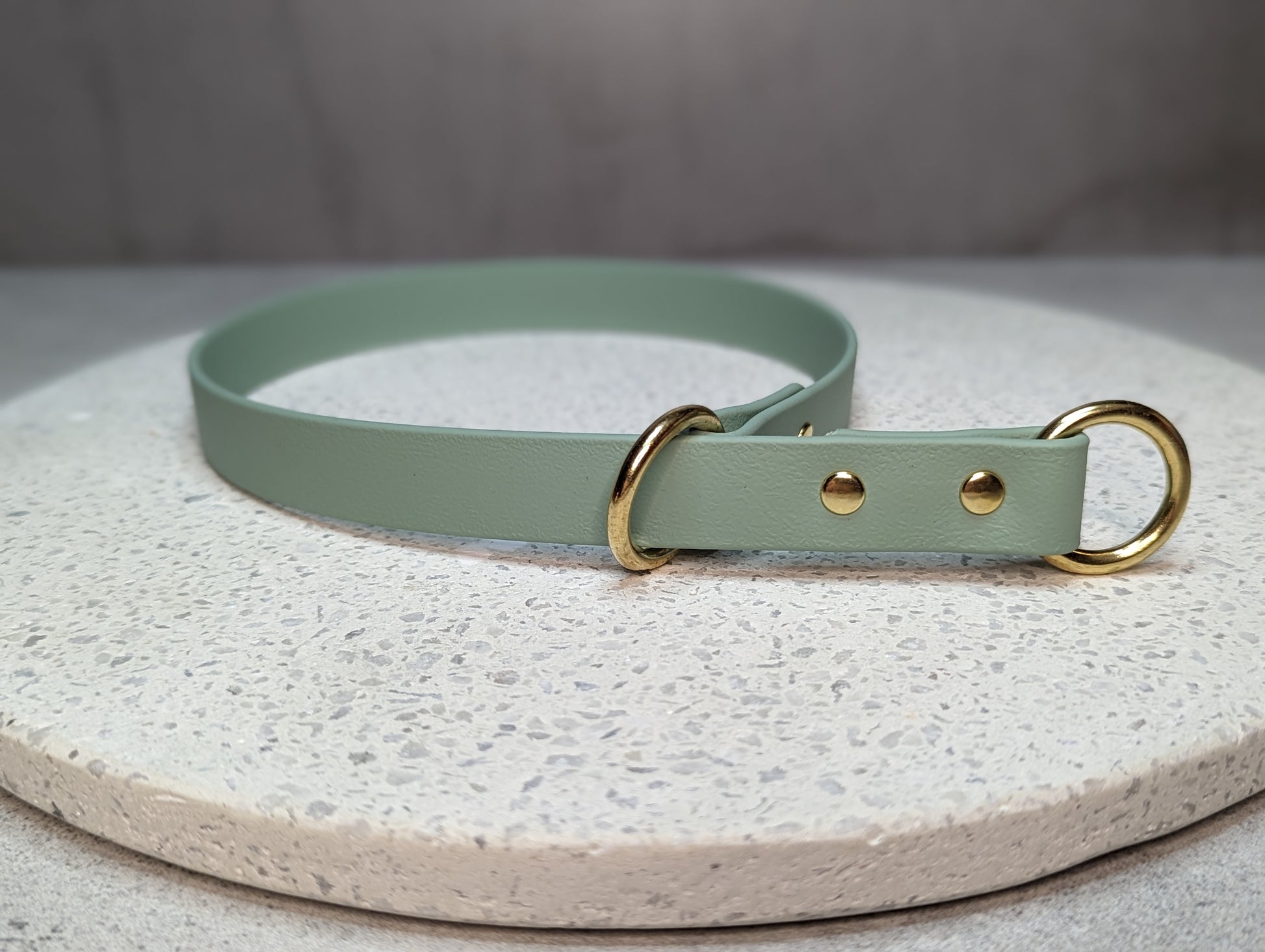 Biothane dog collar made in Ireland 