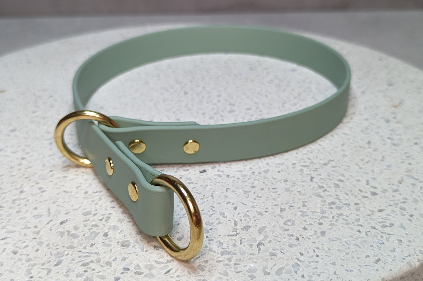 Biothane dog collar made in Ireland 