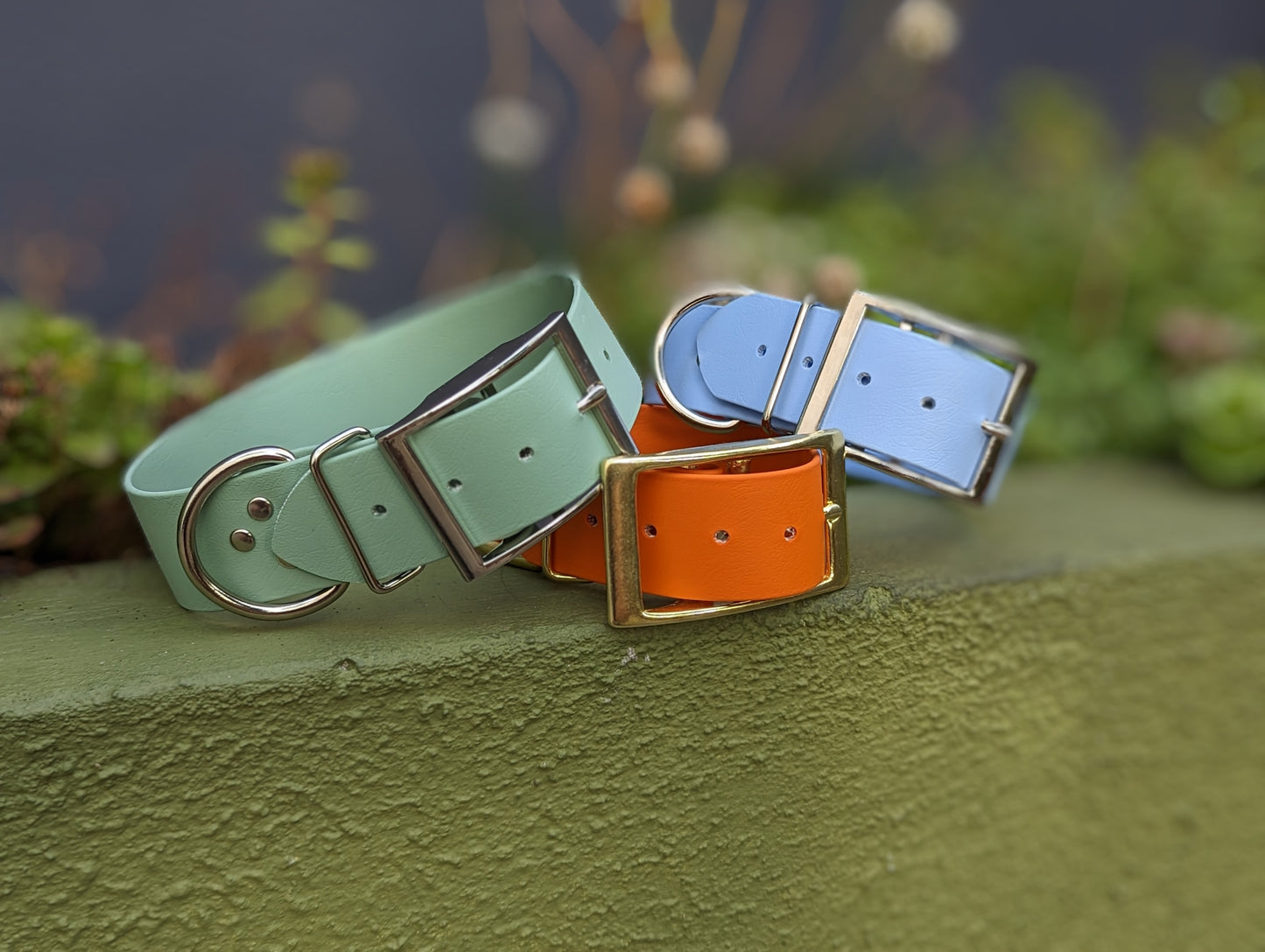 Biothane collar with buckle 38 mm - Design your own