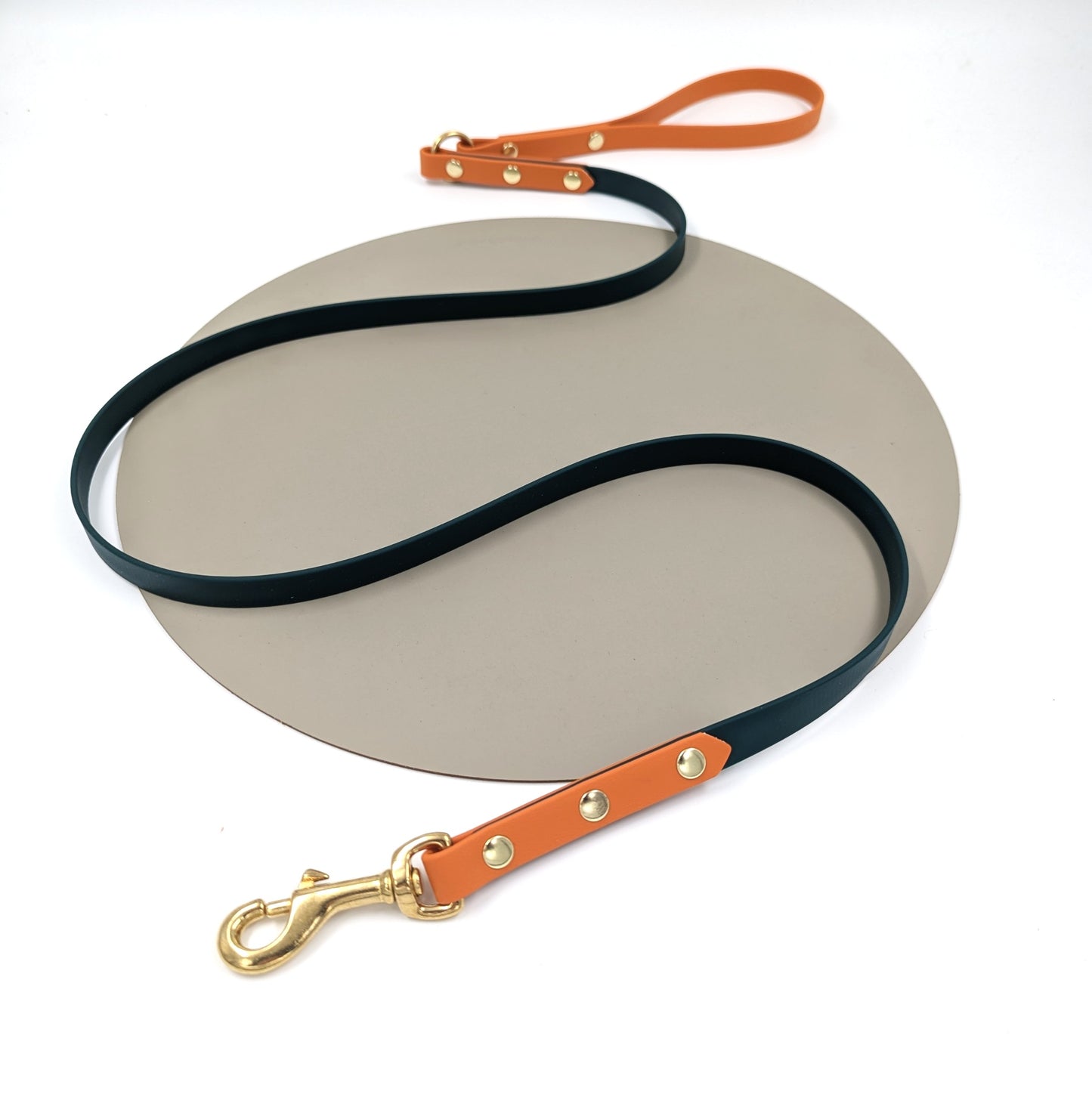 Custom two-tone BioThane dog lead in vibrant contrasting colors - Waterproof and handmade in Ireland - Woodle Designs.