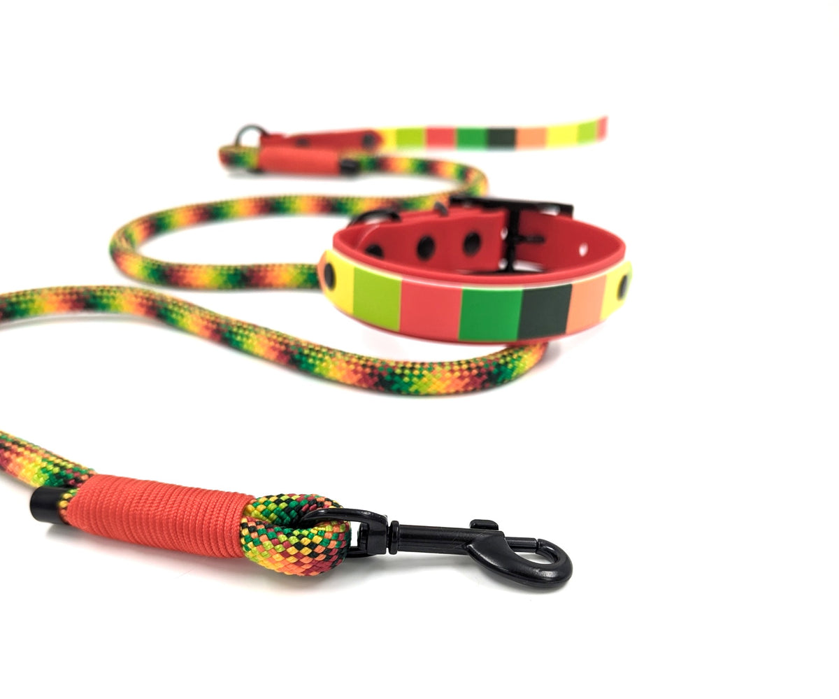 A handmade rope dog lead with UV printed BioThane handle colorful dog leash and matching handmade BioThane with layered UV printed BioThane collar set on a white background. The leash features a red handle wrap, a green, yellow, and red patterned paracord, and a black metal clip. Ireland and Worldwide. UK