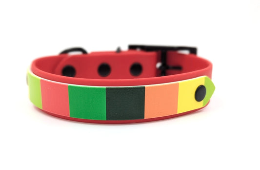 A  handmade BioThane red dog collar with a colorful striped design UV printed BioThane featuring green, black, orange, and yellow segments, shown on a white background. Ireland UK and Worldwide.
