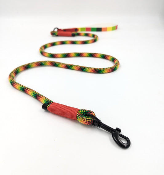 A handmade rope dog leash with UV printed BioThane handle and black metal clip, featuring a repeating green, yellow, orange, and red pattern on a white background. Ireland and worldwide. 