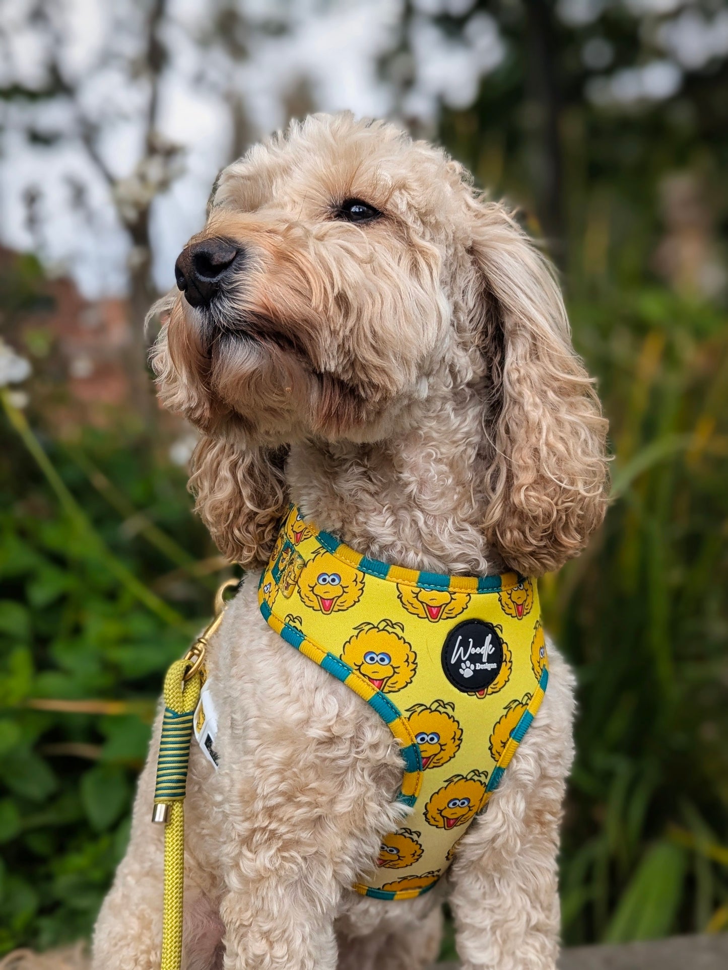 Adjustable padded dog harness Sesame Street collaboration Woodle Designs ireland UK worldwide