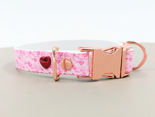UV printed Biothane dog collar made in Ireland worldwide shipping easy clean custom