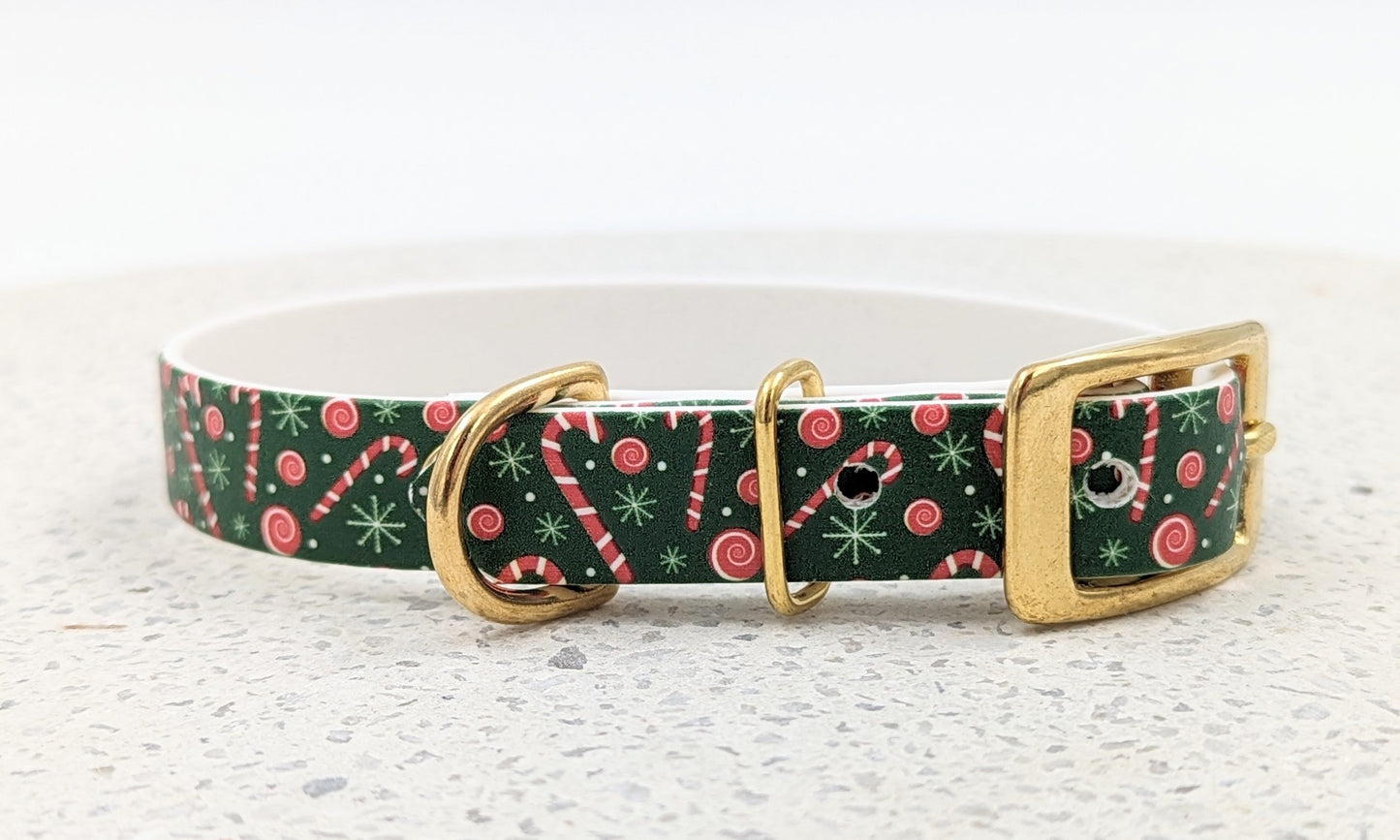 UV printed Biothane dog collar made in Ireland worldwide shipping easy clean custom