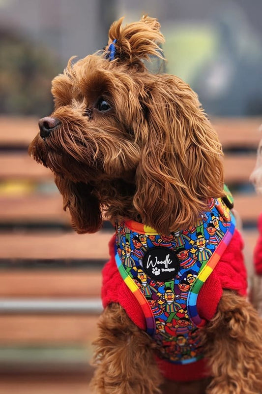 Bert and Ernie Dog Harness | Official Sesame Street | Woodle Designs UK & IE