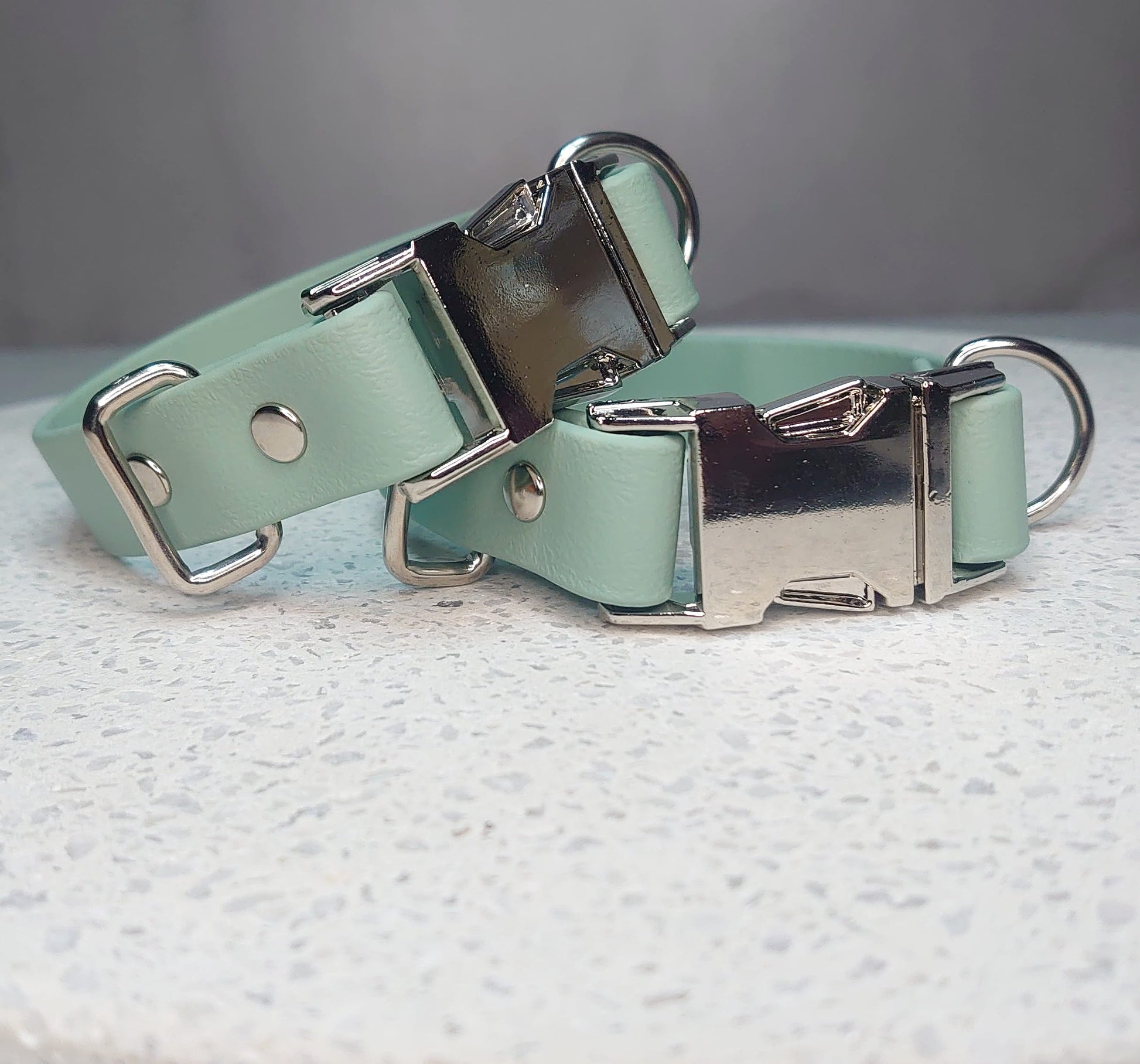 Biothane dog collar made in Ireland with quick / side release buckle 