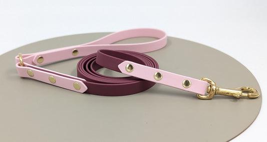 Custom Two-Tone BioThane Dog Lead | Design Your Own Waterproof Leash | Worldwide Shipping