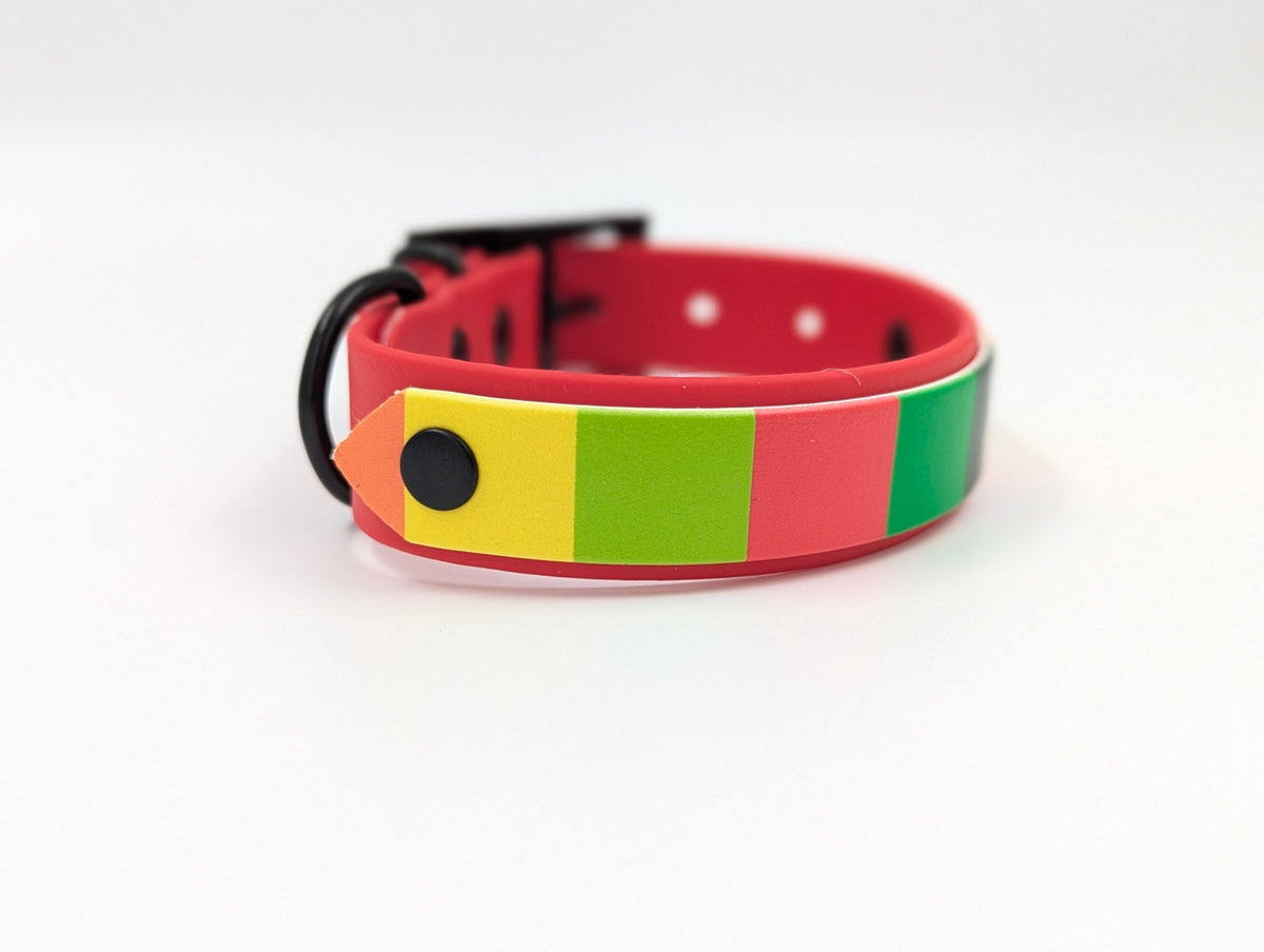 A handmade BioThane dog collar with a colorfulUV printed BioThane layer featuring yellow, green, and red stripes, and a black buckle, shown on a white background. Ireland UK and worldwide. 