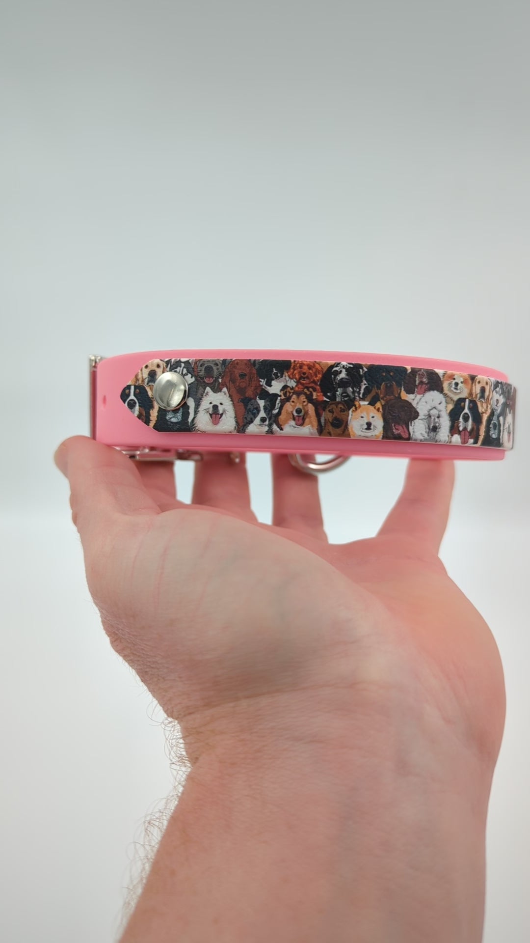 Biothane dog collar made in Ireland 