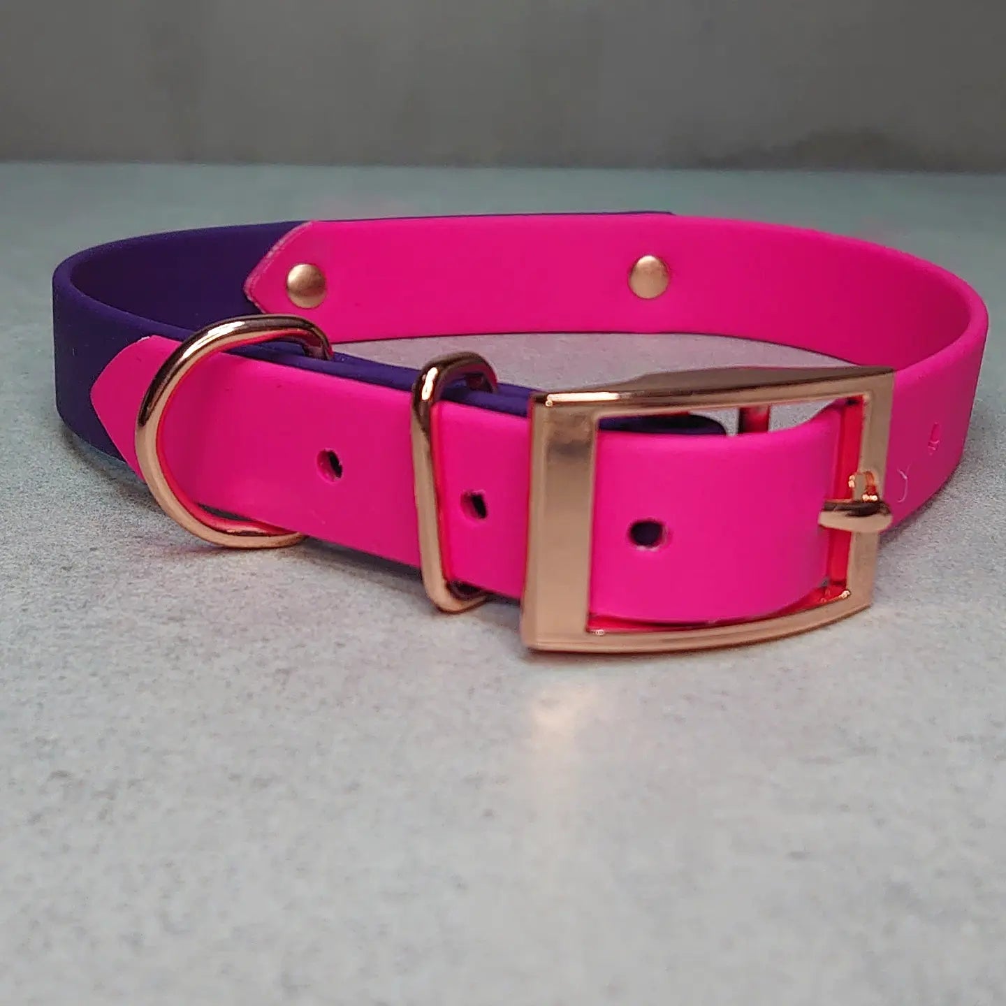 Biothane dog collar made in Ireland 
