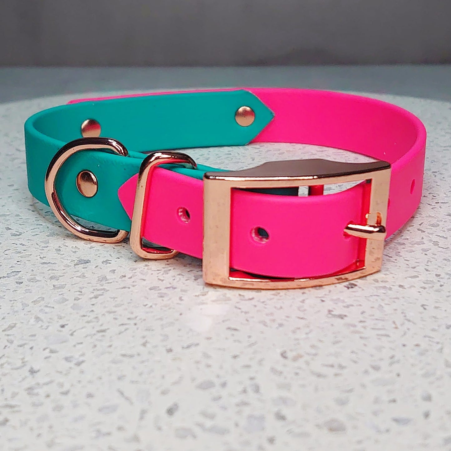 Biothane dog collar made in Ireland 