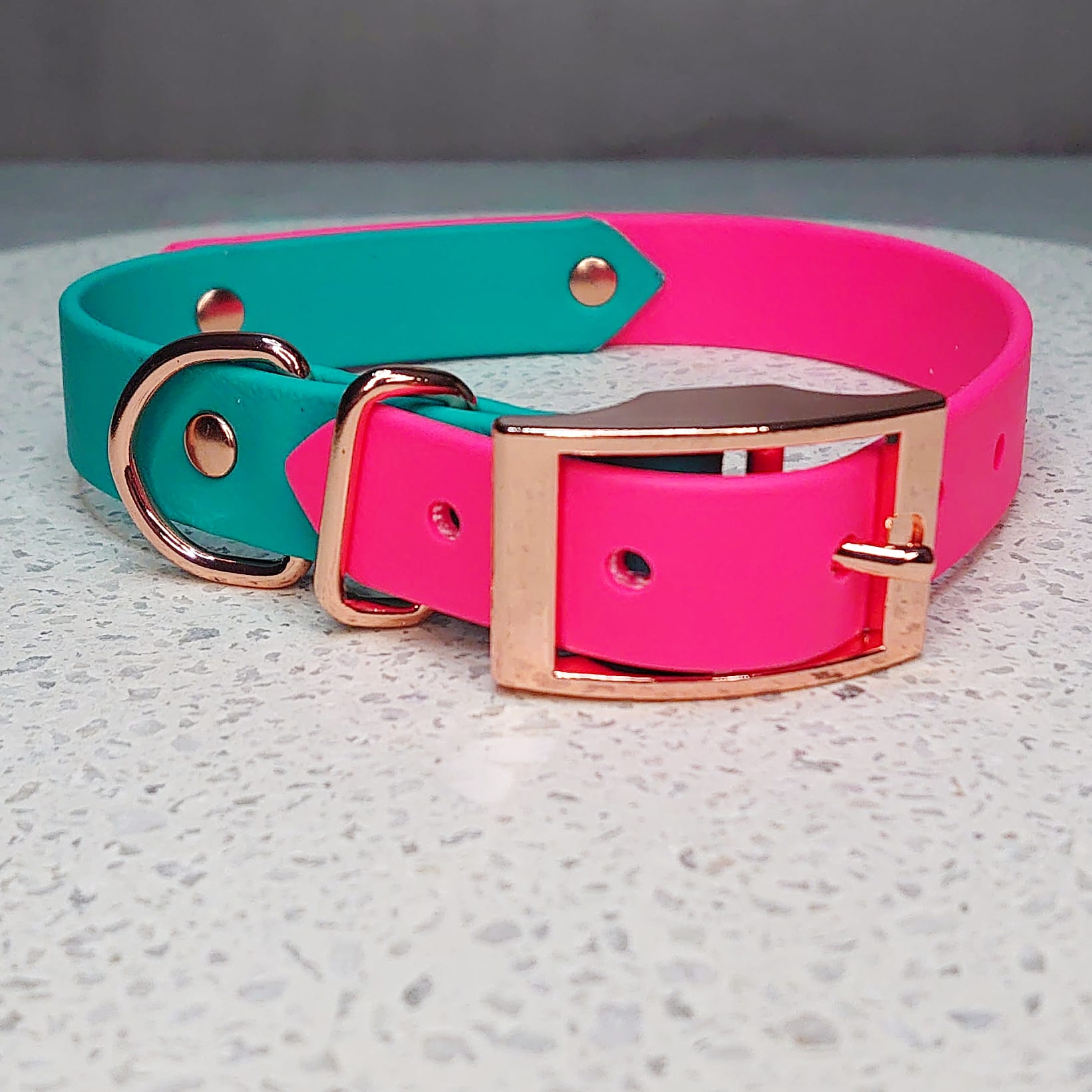 Biothane dog collar made in Ireland 
