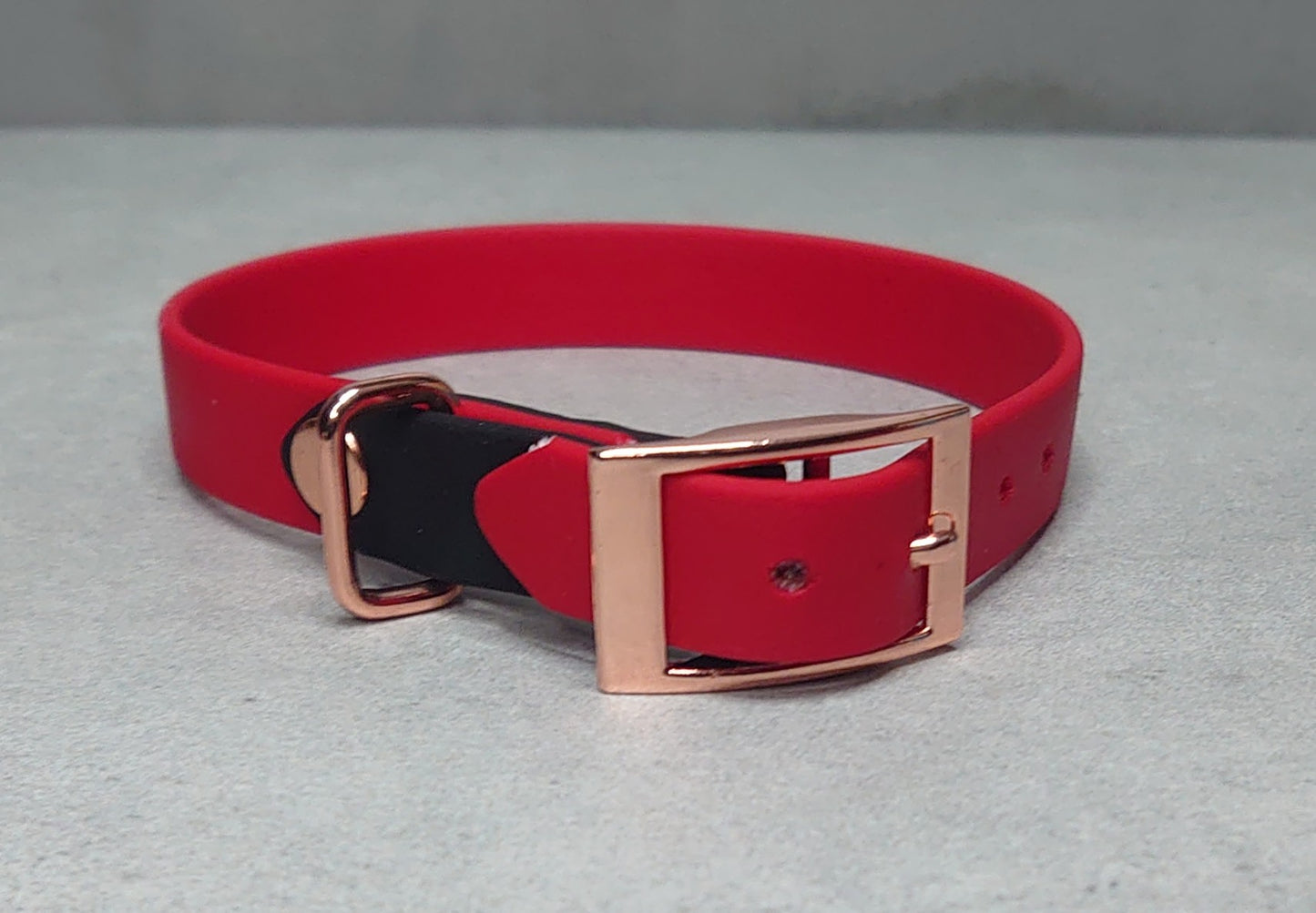 Biothane dog collar made in Ireland 
